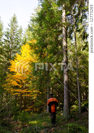 Inspector plans cutting trees Inspector plans cutting trees 12773265