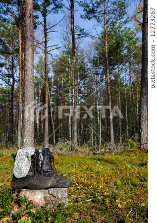 Boots and socks drying in the sun Boots and socks drying in the sun 12773267