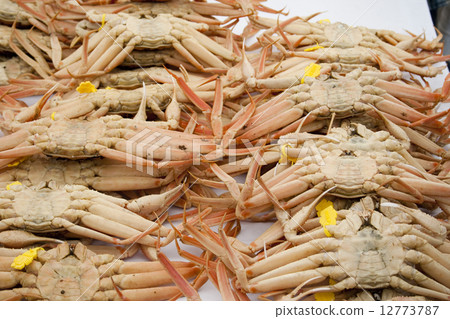 一隻螃蟹 12773787