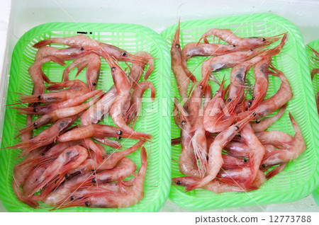 甜蝦 12773788