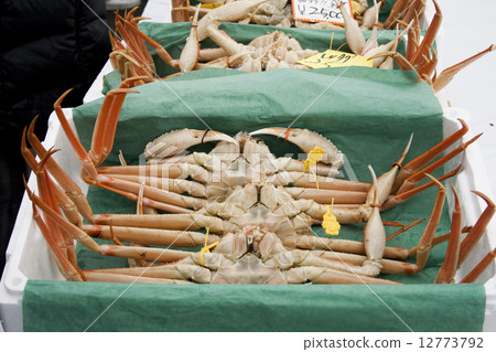 一隻螃蟹 12773792