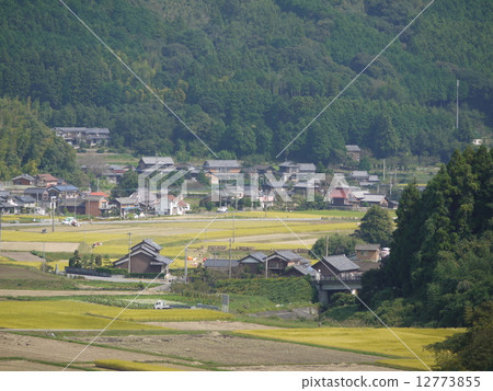 Country landscape Country landscape 12773855