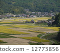 Country landscape Country landscape 12773856