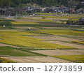 Country landscape Country landscape 12773859