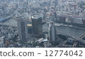 tokyo, megalopolis, aerial photo 12774042