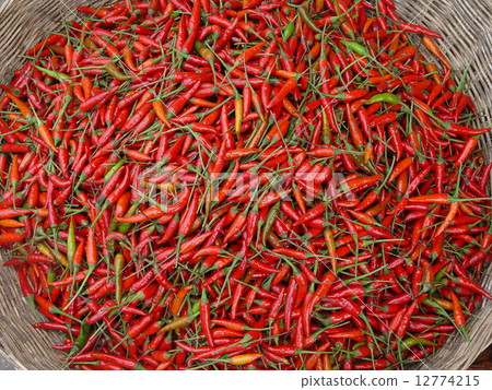 紅辣椒山峰（暹粒/柬埔寨） 12774215