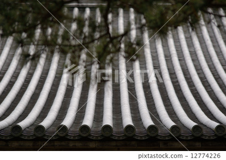 日本風景 12774226