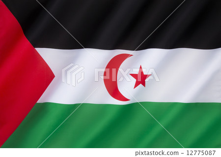 Flag of Western Sahara 12775087