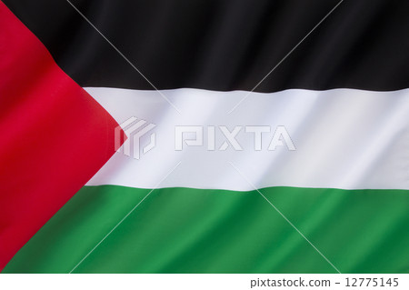 Flag of Palestine 12775145