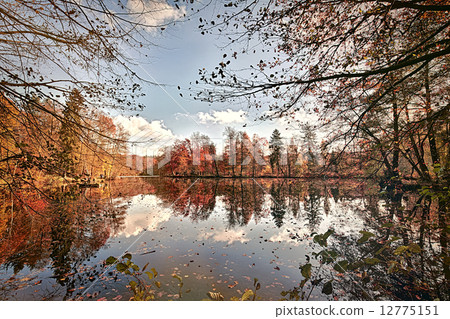 panorama of autumn trees at a glassy lake panorama of autumn trees at a glassy lake 12775151
