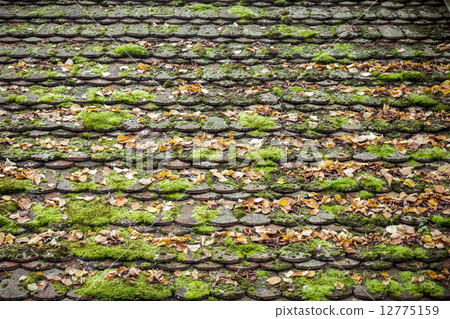 old grungy roof tiles overgrown with moss 12775159