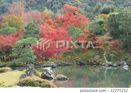 Tenryuji [Sasei Pond] 2 12775232