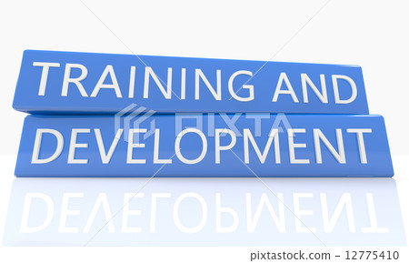 Training and Development 12775410