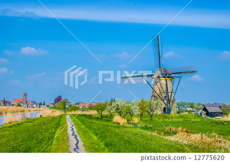 荷蘭的風車 12775620