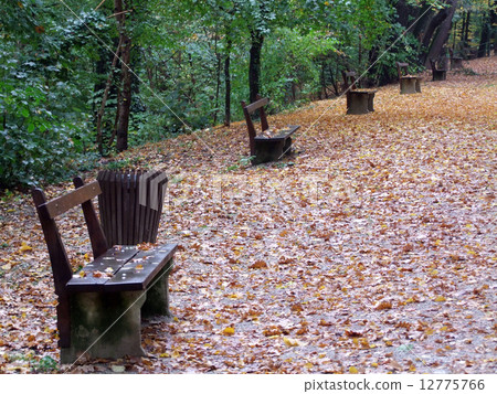 Autumn in the park Autumn in the park 12775766