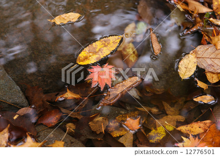 墮落在河上 12776501