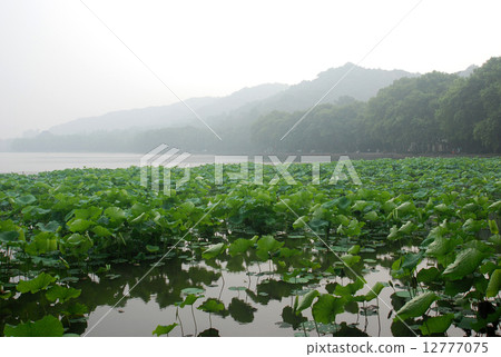 杭州西湖风光--宝石山 12777075
