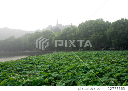 杭州西湖风光--保淑塔 12777363