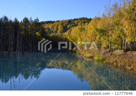 Blue pond of autumn leaves 12777646