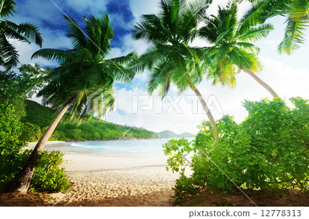 sunset on the beach Takamaka, Mahe island, Seychelles sunset on the beach Takamaka, Mahe island, Seychelles 12778313