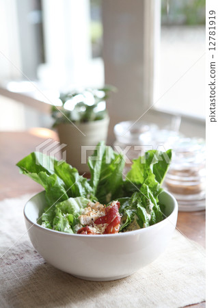 ceacar salad in close up 12781919