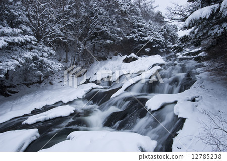 Winter in the crown Winter in the crown 12785238