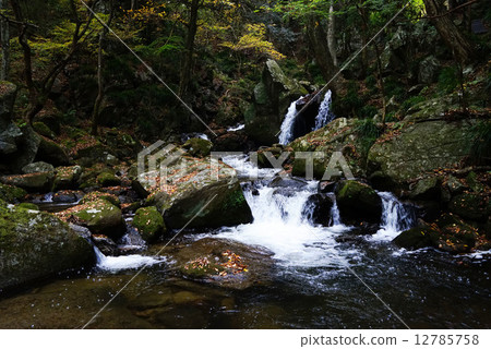 瀧川谷 瀧川谷 12785758