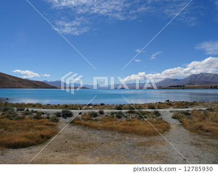新西蘭旅遊·特卡波湖 12785930