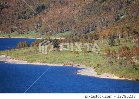 Nomiko 2 Nomiko 2 12786238