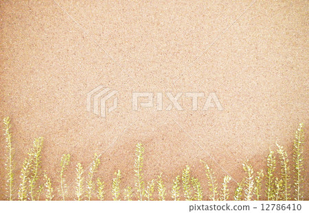 Pepenews Horizontal Pepenews Horizontal 12786410