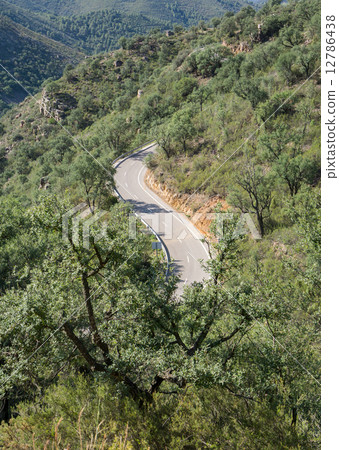 Top view of mountain road with curves 12786438