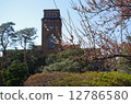 梅 12786580