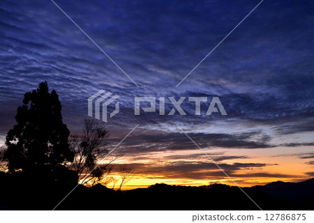 Koedani Pass Koedani Pass 12786875