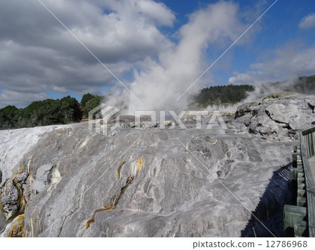 新西蘭旅遊 12786968