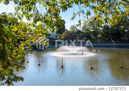 Himonya Park, Toritsu University, Meguro-ku, Tokyo 12787171