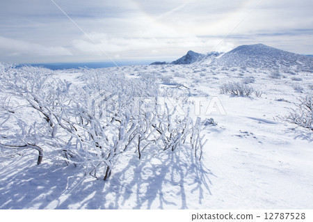 Nasu's Rape Ice 3 Nasu's Rape Ice 3 12787528
