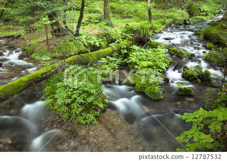 Natural water 12787532