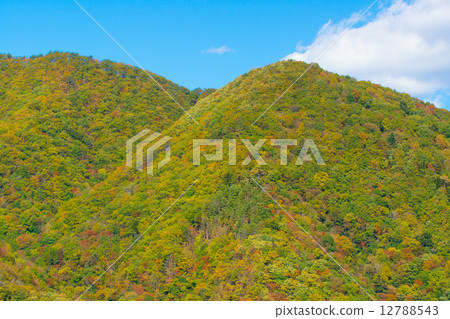 Autumn scenery Autumn scenery 12788543