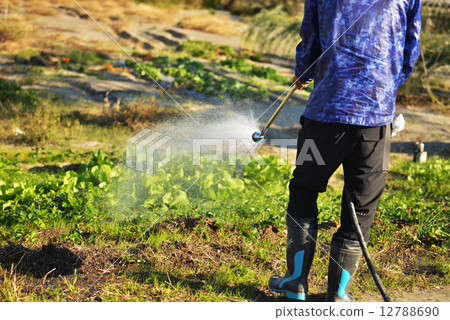 灑水 灑水 12788690