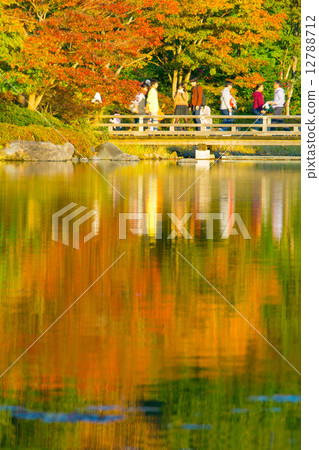 Park autumn scenery Park autumn scenery 12788712