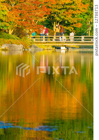 公園秋天的景色 12788713