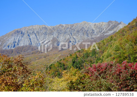 Autumn leaves of Oyama Autumn leaves of Oyama 12789538