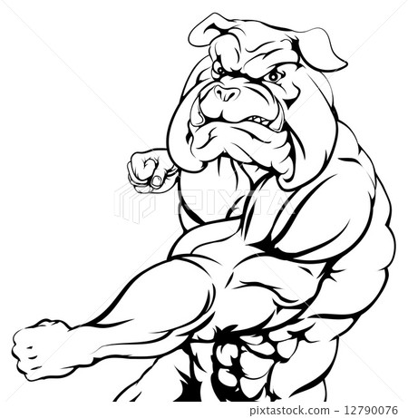 Tough bulldog character punching 12790076