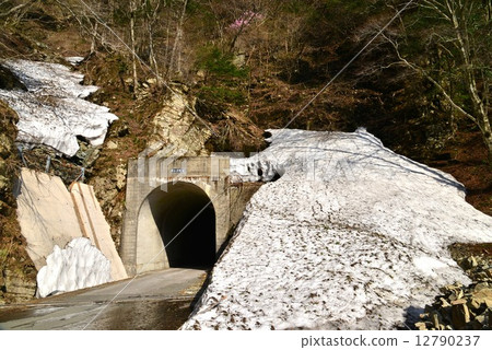 剩下的雪的森林道路（愛媛縣瓶森林路） 12790237