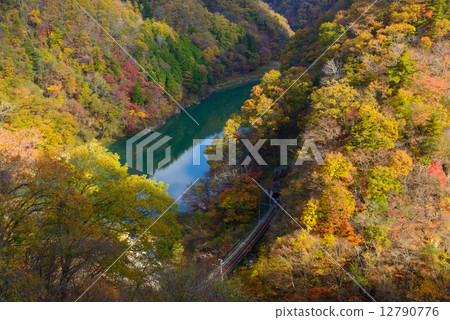 Near the Tenryu River Karasaka station in the fall 12790776