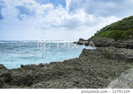 Im Gy marine garden 12791184