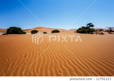 beautiful landscape of Hidden Vlei in Namib desert beautiful landscape of Hidden Vlei in Namib desert 12791221
