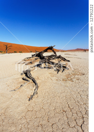 beautiful landscape of Hidden Vlei in Namib desert 12791222