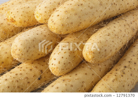 大和山藥 大和山藥 12791370