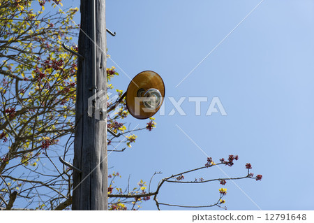 The old telephone pole 12791648